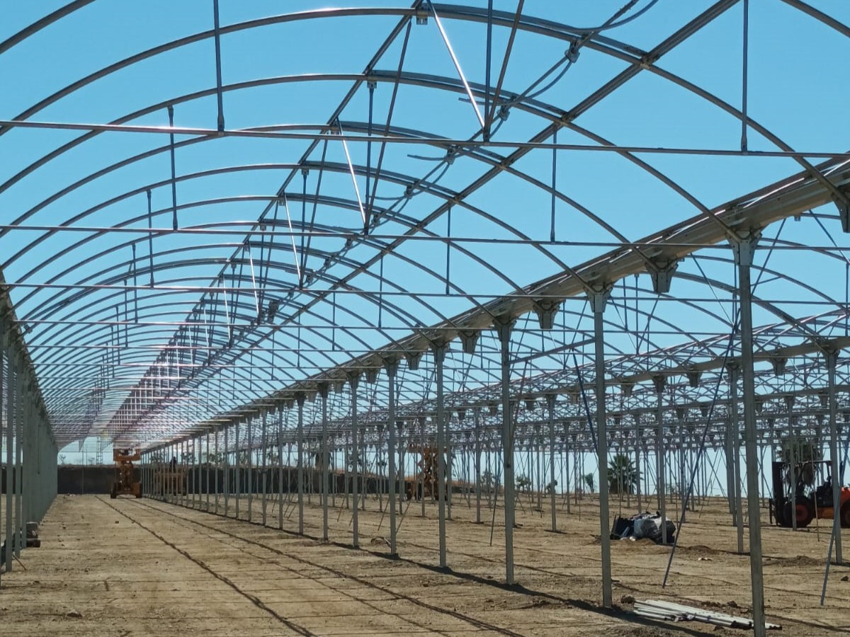 cultivos en invernadero