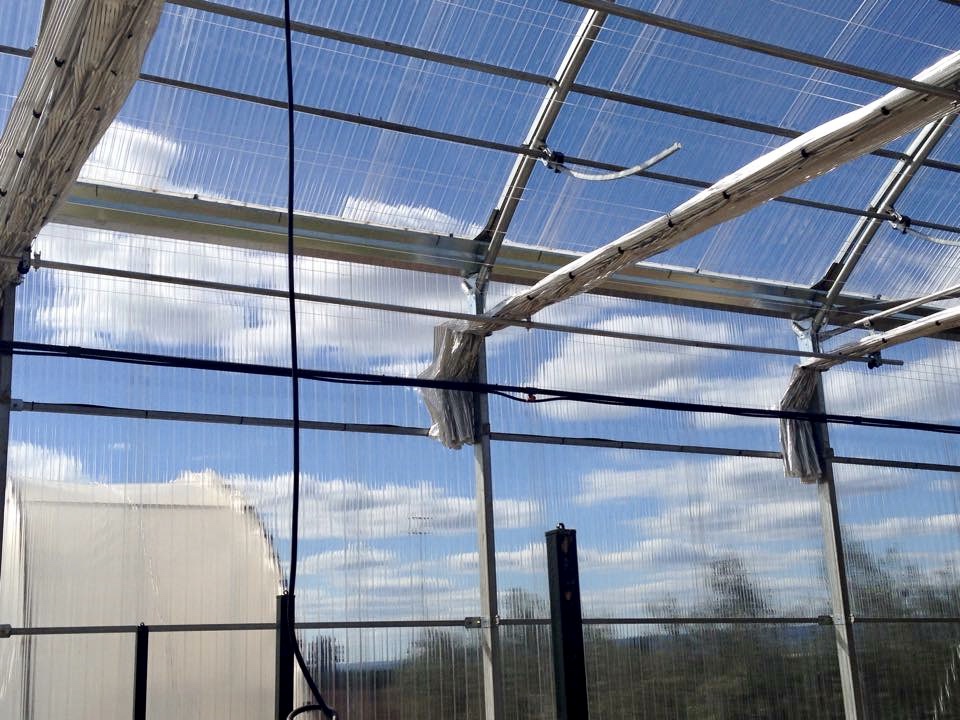 tecnologías aplicadas a cultivos de invernadero: ventilación y pantallas