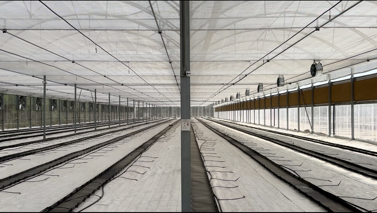 cómo funciona un invernadero